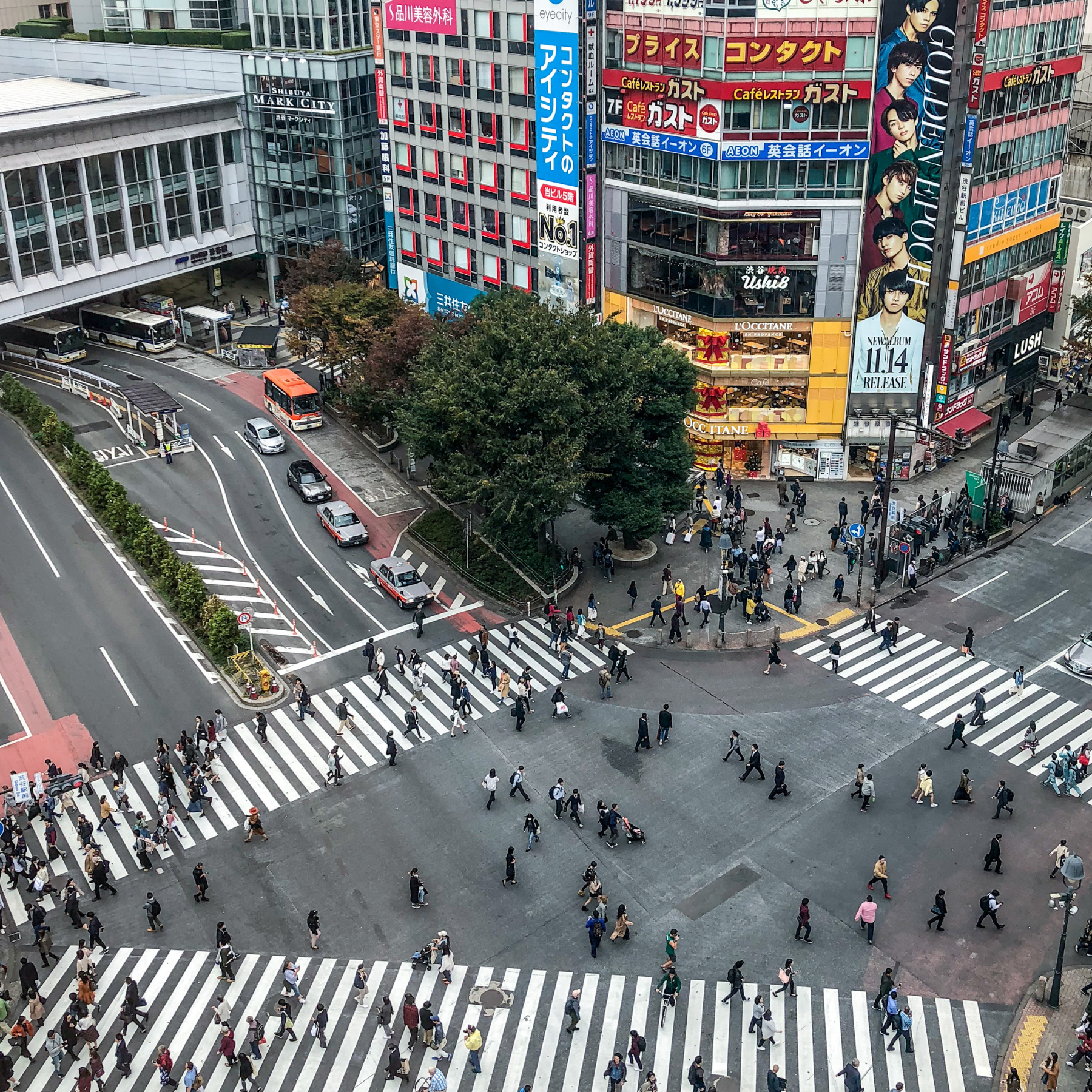 Commercial and Finance